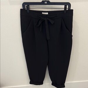 Aritzia Wilfred Cropped Trouser